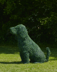 Dog Sitting Topiary Dog